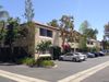 1000 Paseo Camarillo photo